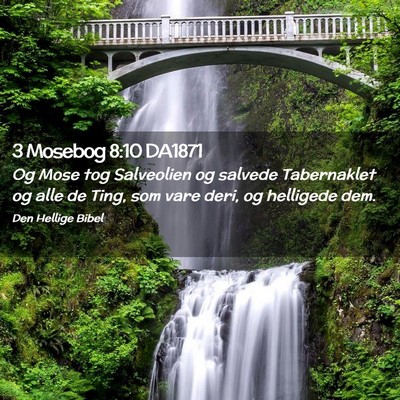 Picture 02 - 3 Mosebog 8:10 DA1871 - Og Mose tog Salveolien og salvede Tabernaklet og - Bible Verse Picture