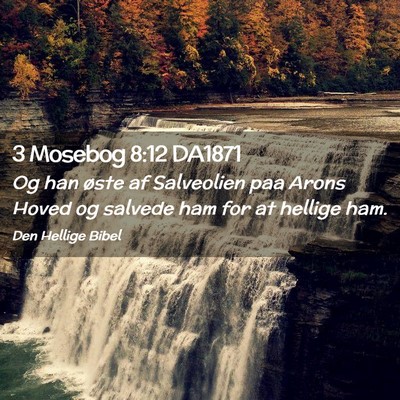 Picture 02 - 3 Mosebog 8:12 DA1871 - Og han øste af Salveolien paa Arons Hoved og - Bible Verse Picture