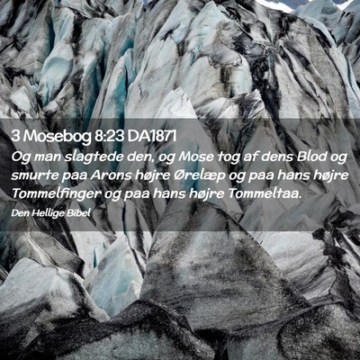 Picture 02 - 3 Mosebog 8:23 DA1871 - Og man slagtede den, og Mose tog af dens Blod og - Bible Verse Picture