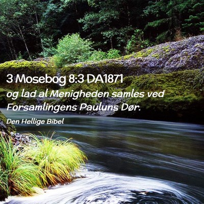 Picture 02 - 3 Mosebog 8:3 DA1871 - og lad al Menigheden samles ved Forsamlingens - Bible Verse Picture