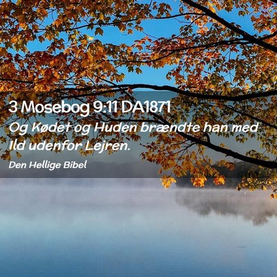 Picture 02 - 3 Mosebog 9:11 DA1871 - Og Kødet og Huden brændte han med Ild udenfor - Bible Verse Picture