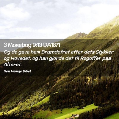 Picture 02 - 3 Mosebog 9:13 DA1871 - Og de gave ham Brændofret efter dets Stykker og - Bible Verse Picture