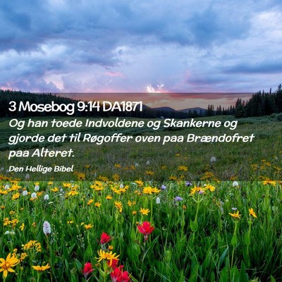 Picture 02 - 3 Mosebog 9:14 DA1871 - Og han toede Indvoldene og Skankerne og gjorde - Bible Verse Picture