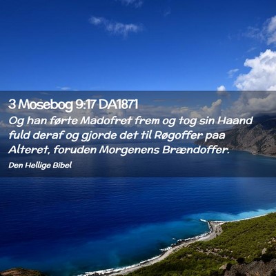 Picture 02 - 3 Mosebog 9:17 DA1871 - Og han førte Madofret frem og tog sin Haand fuld - Bible Verse Picture
