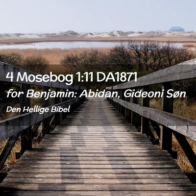 Picture 02 - 4 Mosebog 1:11 DA1871 - for Benjamin: Abidan, Gideoni - Bible Verse Picture