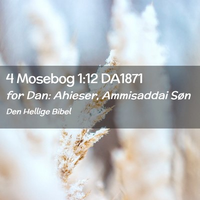 Picture 02 - 4 Mosebog 1:12 DA1871 - for Dan: Ahieser, Ammisaddai - Bible Verse Picture