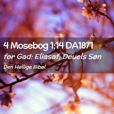 Picture 02 - 4 Mosebog 1:14 DA1871 - for Gad: Eliasaf, Deuels - Bible Verse Picture