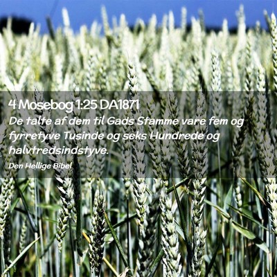 Picture 02 - 4 Mosebog 1:25 DA1871 - De talte af dem til Gads Stamme vare fem og - Bible Verse Picture