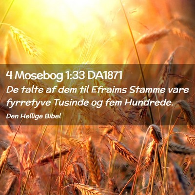 Picture 02 - 4 Mosebog 1:33 DA1871 - De talte af dem til Efraims Stamme vare fyrretyve - Bible Verse Picture