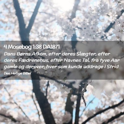 Picture 02 - 4 Mosebog 1:38 DA1871 - Dans Børns Afkom, efter deres Slægter, efter - Bible Verse Picture