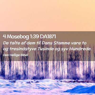 Picture 02 - 4 Mosebog 1:39 DA1871 - De talte af dem til Dans Stamme vare to og - Bible Verse Picture