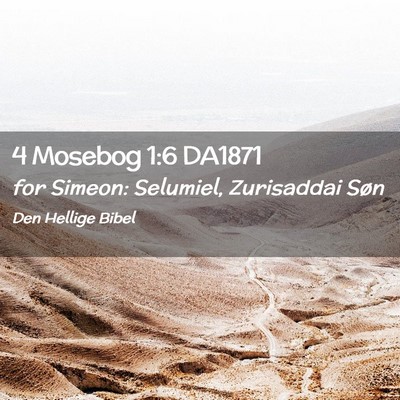 Picture 02 - 4 Mosebog 1:6 DA1871 - for Simeon: Selumiel, Zurisaddai - Bible Verse Picture