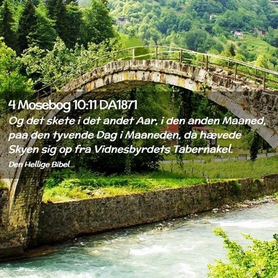 Picture 02 - 4 Mosebog 10:11 DA1871 - Og det skete i det andet Aar, i den anden Maaned, - Bible Verse Picture