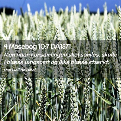 Picture 02 - 4 Mosebog 10:7 DA1871 - Men naar Forsamlingen skal samles, skulle I - Bible Verse Picture
