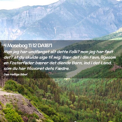 Picture 02 - 4 Mosebog 11:12 DA1871 - Mon jeg har undfanget alt dette Folk? mon jeg har - Bible Verse Picture