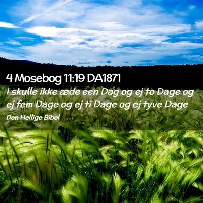 Picture 02 - 4 Mosebog 11:19 DA1871 - I skulle ikke æde een Dag og ej to Dage og ej - Bible Verse Picture