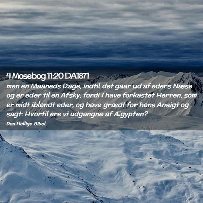 Picture 02 - 4 Mosebog 11:20 DA1871 - men en Maaneds Dage, indtil det gaar ud af eders - Bible Verse Picture