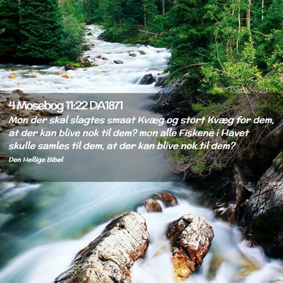 Picture 02 - 4 Mosebog 11:22 DA1871 - Mon der skal slagtes smaat Kvæg og stort Kvæg - Bible Verse Picture