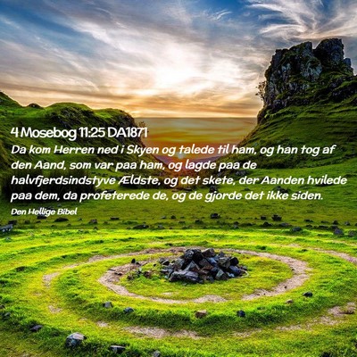 Picture 02 - 4 Mosebog 11:25 DA1871 - Da kom Herren ned i Skyen og talede til ham, og - Bible Verse Picture