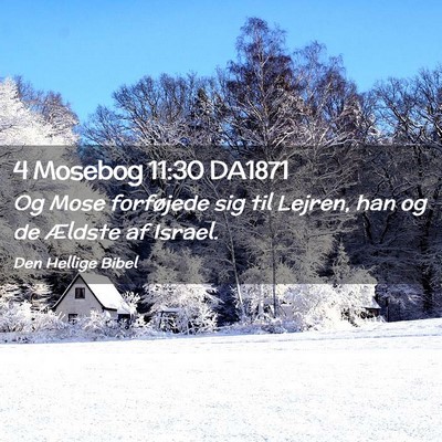 Picture 02 - 4 Mosebog 11:30 DA1871 - Og Mose forføjede sig til Lejren, han og de - Bible Verse Picture