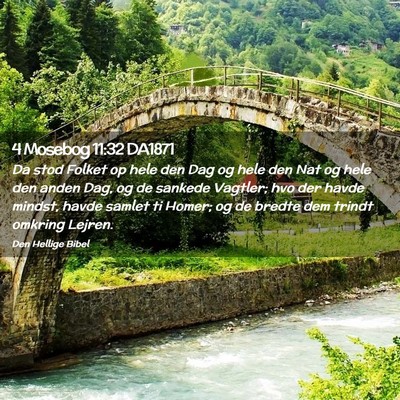 Picture 02 - 4 Mosebog 11:32 DA1871 - Da stod Folket op hele den Dag og hele den Nat og - Bible Verse Picture