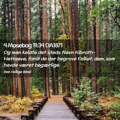 Picture 02 - 4 Mosebog 11:34 DA1871 - Og man kaldte det Steds Navn Kibroth-Hattaava, - Bible Verse Picture