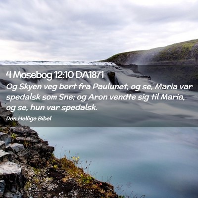 Picture 02 - 4 Mosebog 12:10 DA1871 - Og Skyen veg bort fra Paulunet, og se, Maria var - Bible Verse Picture