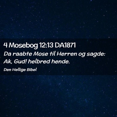 Picture 02 - 4 Mosebog 12:13 DA1871 - Da raabte Mose til Herren og sagde: Ak, Gud! - Bible Verse Picture