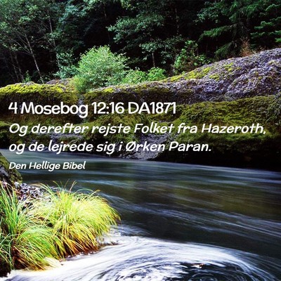 Picture 02 - 4 Mosebog 12:16 DA1871 - Og derefter rejste Folket fra Hazeroth, og de - Bible Verse Picture