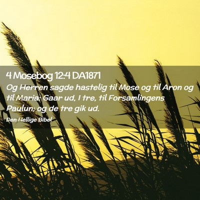 Picture 02 - 4 Mosebog 12:4 DA1871 - Og Herren sagde hastelig til Mose og til Aron og - Bible Verse Picture