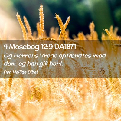 Picture 02 - 4 Mosebog 12:9 DA1871 - Og Herrens Vrede optændtes imod dem, og han gik - Bible Verse Picture