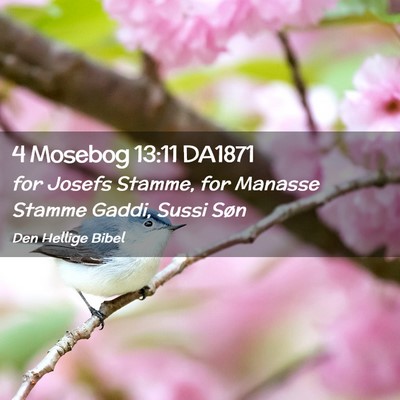Picture 02 - 4 Mosebog 13:11 DA1871 - for Josefs Stamme, for Manasse Stamme Gaddi, - Bible Verse Picture