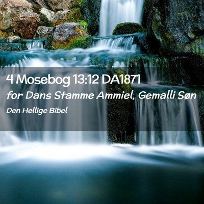 Picture 02 - 4 Mosebog 13:12 DA1871 - for Dans Stamme Ammiel, Gemalli - Bible Verse Picture