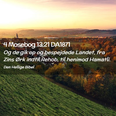 Picture 02 - 4 Mosebog 13:21 DA1871 - Og de gik op og bespejdede Landet, fra Zins Ørk - Bible Verse Picture