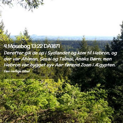 Picture 02 - 4 Mosebog 13:22 DA1871 - Derefter gik de op i Sydlandet og kom til Hebron, - Bible Verse Picture