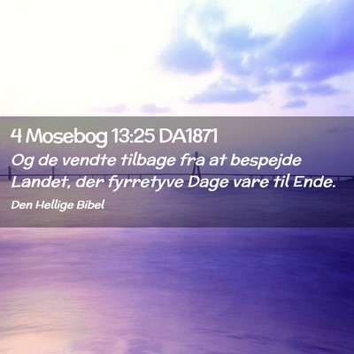 Picture 02 - 4 Mosebog 13:25 DA1871 - Og de vendte tilbage fra at bespejde Landet, der - Bible Verse Picture