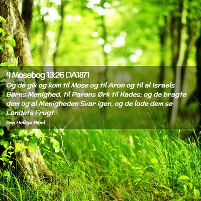 Picture 02 - 4 Mosebog 13:26 DA1871 - Og de gik og kom til Mose og til Aron og til al - Bible Verse Picture
