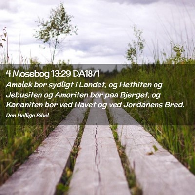 Picture 02 - 4 Mosebog 13:29 DA1871 - Amalek bor sydligt i Landet, og Hethiten og - Bible Verse Picture