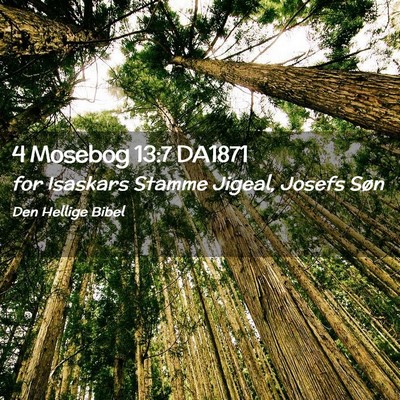 Picture 02 - 4 Mosebog 13:7 DA1871 - for Isaskars Stamme Jigeal, Josefs - Bible Verse Picture