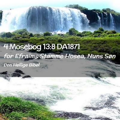 Picture 02 - 4 Mosebog 13:8 DA1871 - for Efraims Stamme Hosea, Nuns - Bible Verse Picture