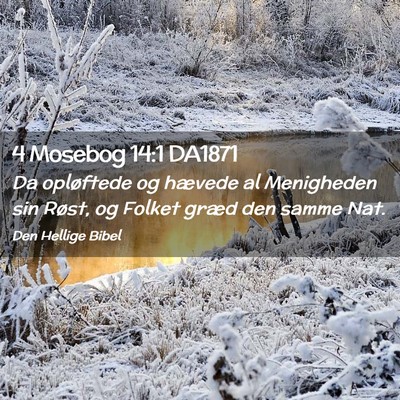 Picture 02 - 4 Mosebog 14:1 DA1871 - Da opløftede og hævede al Menigheden sin Røst, - Bible Verse Picture