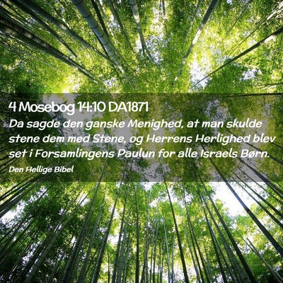 Picture 02 - 4 Mosebog 14:10 DA1871 - Da sagde den ganske Menighed, at man skulde stene - Bible Verse Picture