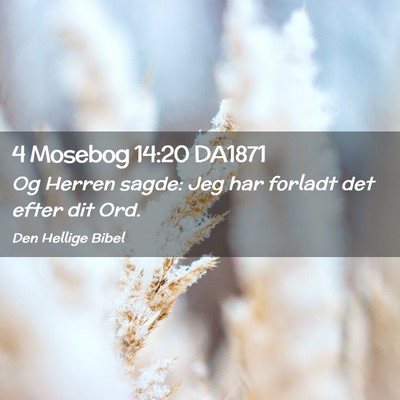 Picture 02 - 4 Mosebog 14:20 DA1871 - Og Herren sagde: Jeg har forladt det efter dit - Bible Verse Picture