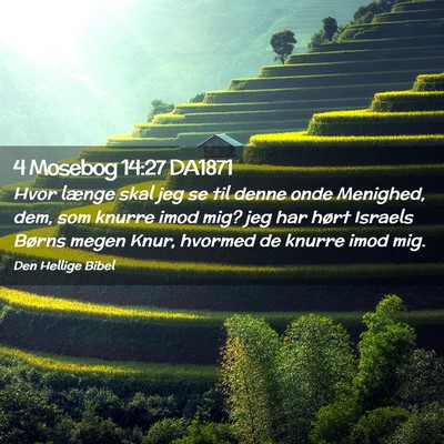 Picture 02 - 4 Mosebog 14:27 DA1871 - Hvor længe skal jeg se til denne onde Menighed, - Bible Verse Picture