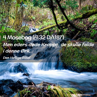 Picture 02 - 4 Mosebog 14:32 DA1871 - Men eders døde Kroppe, de skulle falde i denne - Bible Verse Picture