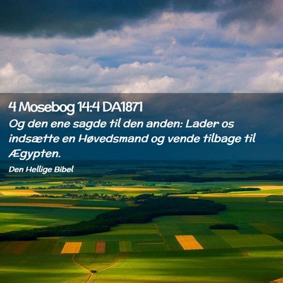 Picture 02 - 4 Mosebog 14:4 DA1871 - Og den ene sagde til den anden: Lader os - Bible Verse Picture