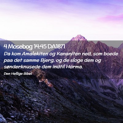Picture 02 - 4 Mosebog 14:45 DA1871 - Da kom Amalekiten og Kananiten ned, som boede paa - Bible Verse Picture