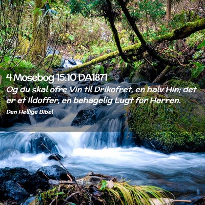 Picture 02 - 4 Mosebog 15:10 DA1871 - Og du skal ofre Vin til Drikofret, en halv Hin; - Bible Verse Picture