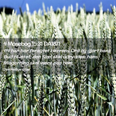 Picture 02 - 4 Mosebog 15:31 DA1871 - thi han har foragtet Herrens Ord og gjort hans - Bible Verse Picture
