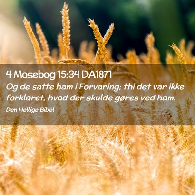 Picture 02 - 4 Mosebog 15:34 DA1871 - Og de satte ham i Forvaring; thi det var ikke - Bible Verse Picture